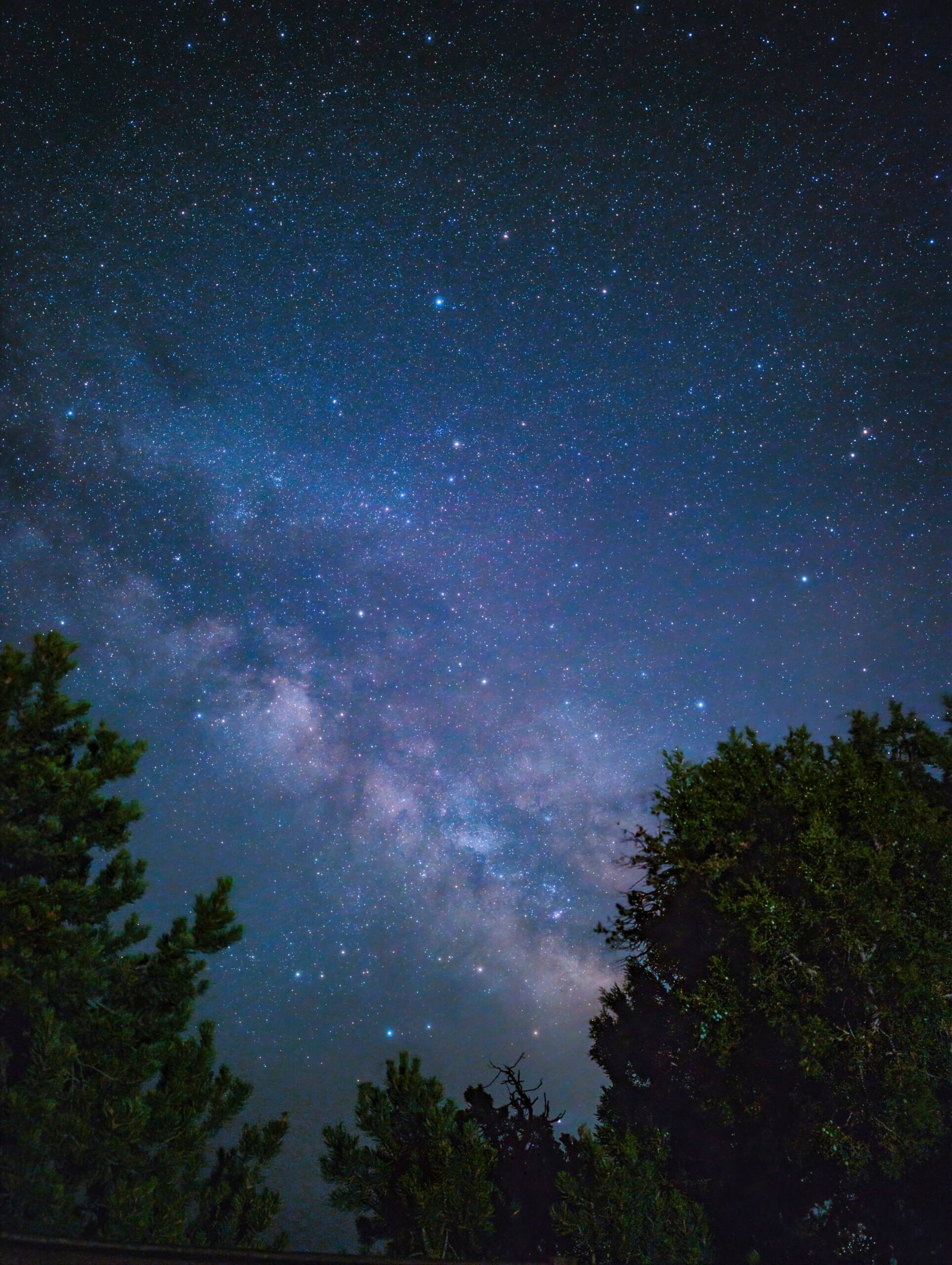 Pixel 8 pro