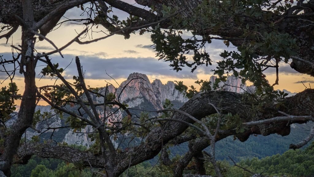 Les Dentelles de Montmirail au crépuscule